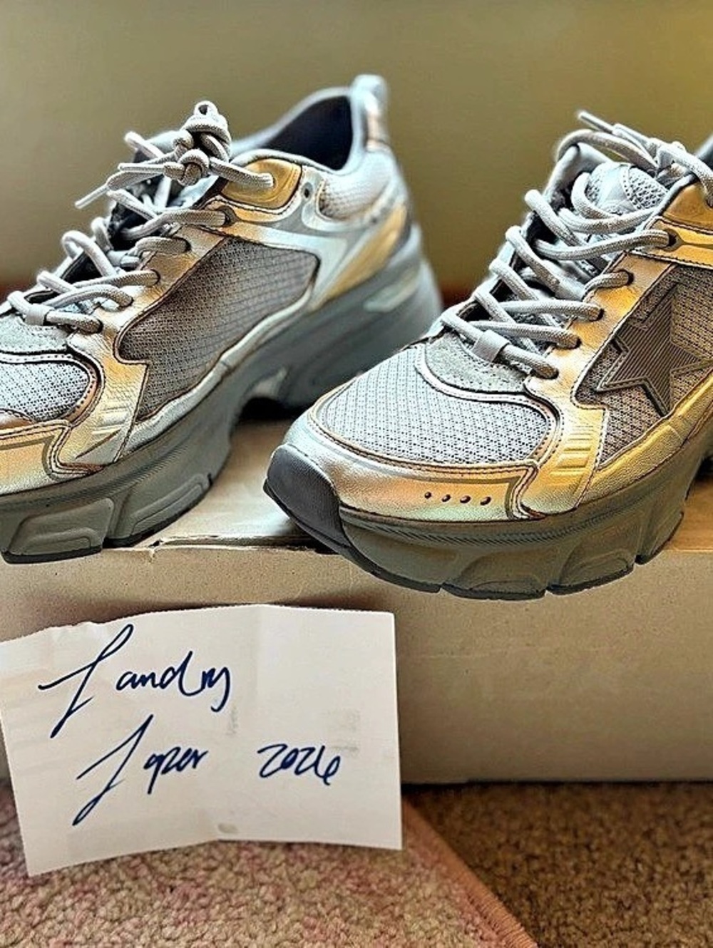 Golden Goose Dad-Star Sneakers in Silver and Grey Mesh